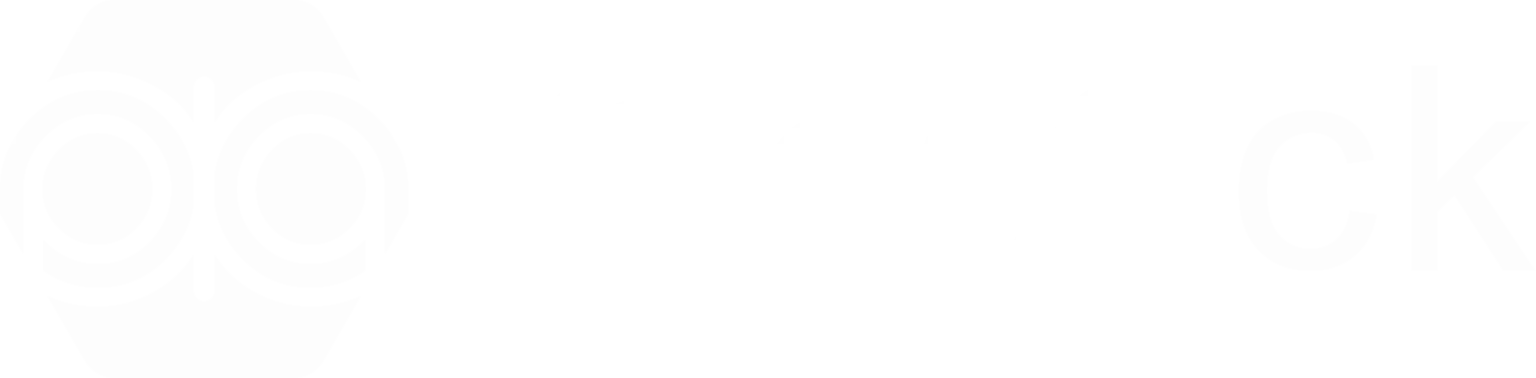 Apsock Logo Light