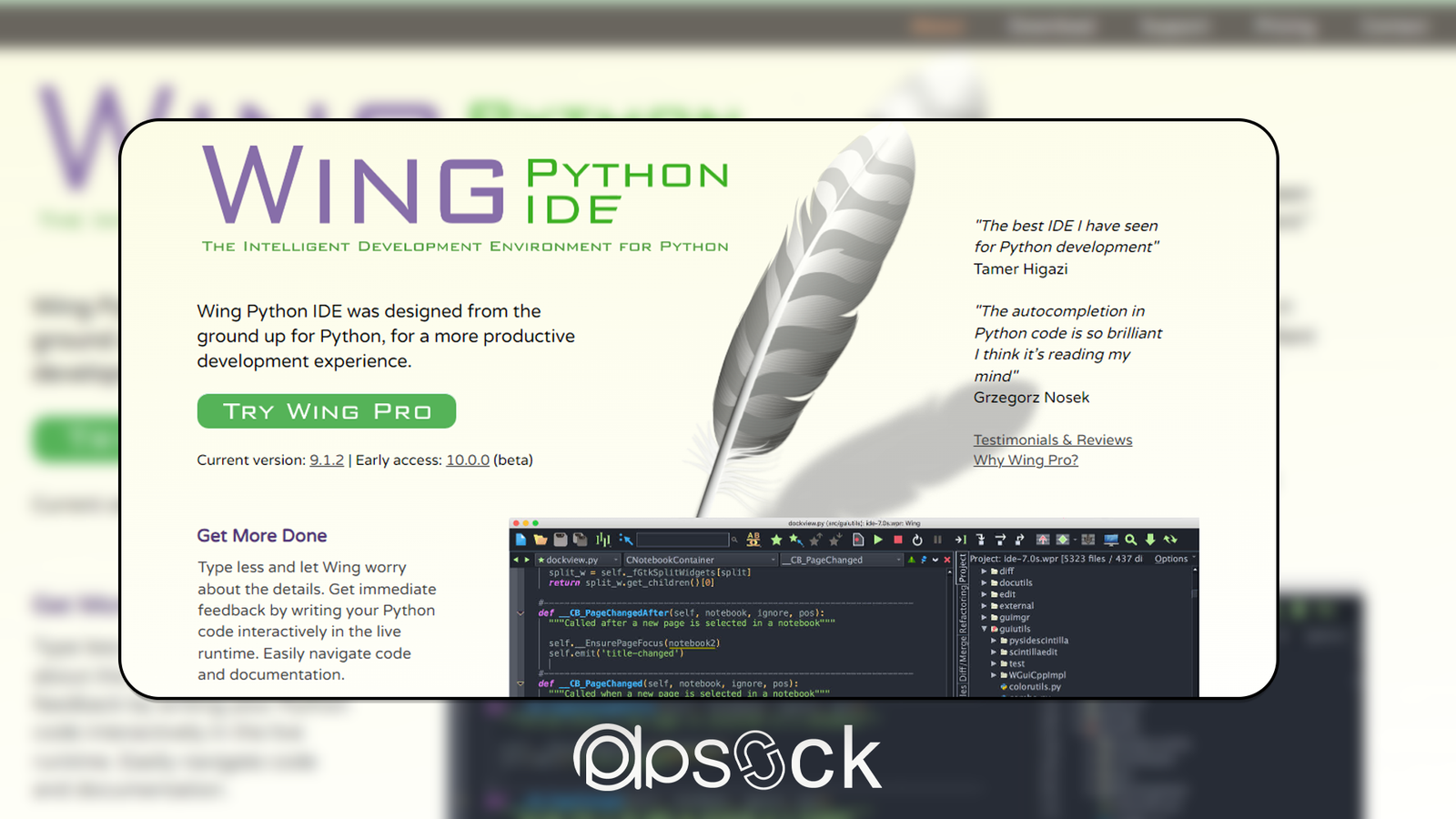 Wing Python IDE AI - Review, Price, Usage, Pros & Cons